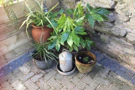 Gilliflower 1 Bedroom Cottage At Trethwale Barns Holiday Home Saint Keyne Esterno foto